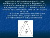 Kiauliena 17 puslapis