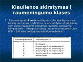 Kiauliena 5 puslapis