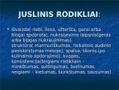 Kiauliena 8 puslapis