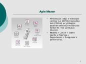 Kliento užduotis Mezon kampanijai 2 puslapis