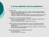 Kliento užduotis Mezon kampanijai 13 puslapis