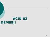 Kliento užduotis Mezon kampanijai 14 puslapis