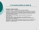 Kliento užduotis Mezon kampanijai 3 puslapis