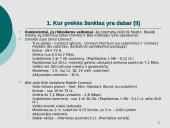 Kliento užduotis Mezon kampanijai 4 puslapis