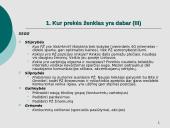 Kliento užduotis Mezon kampanijai 5 puslapis