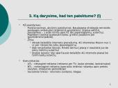 Kliento užduotis Mezon kampanijai 7 puslapis