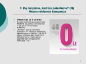 Kliento užduotis Mezon kampanijai 9 puslapis