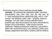 Kompiuterių virusai bei kaip apsisaugoti nuo jų 13 puslapis