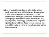 Kompiuterių virusai bei kaip apsisaugoti nuo jų 14 puslapis