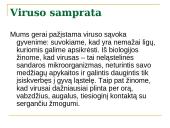 Kompiuterių virusai bei kaip apsisaugoti nuo jų 3 puslapis