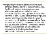 Kompiuterių virusai bei kaip apsisaugoti nuo jų 4 puslapis