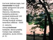 Korėja: padalinta tauta 5 puslapis