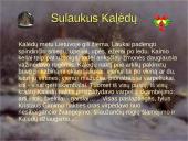 Kūčių vakaras 11 puslapis