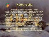 Kūčių vakaras 5 puslapis