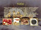 Kūčių vakaras 7 puslapis