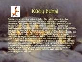 Kūčių vakaras 9 puslapis