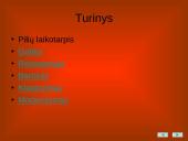 Lietuvos architektūros stiliai 2 puslapis