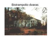 Lietuvos dvarų arcitektūra 18 puslapis