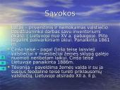 Lietuvos valstybės susidarymas 14 puslapis