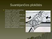 Litosferos plokštės 8 puslapis