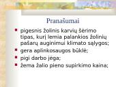 Maisto pramonės šakos 17 puslapis