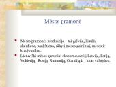 Maisto pramonės šakos 19 puslapis