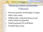 Maisto pramonės šakos 4 puslapis