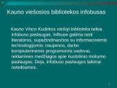 Mobiliosios bibliotekų paslaugos Lietuvoje: bibliobusai 13 puslapis
