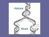 Genetinis paveldimumas 12 puslapis