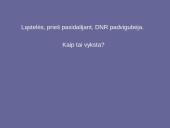 Genetinis paveldimumas 13 puslapis