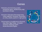 Genetinis paveldimumas 5 puslapis