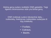 Genetinis paveldimumas 6 puslapis