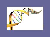 Genetinis paveldimumas 7 puslapis