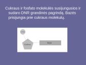 Genetinis paveldimumas 8 puslapis