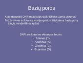 Genetinis paveldimumas 9 puslapis