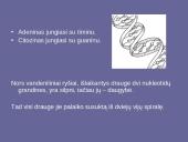 Genetinis paveldimumas 10 puslapis