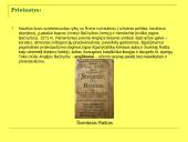 Reformacija Europoje 8 puslapis