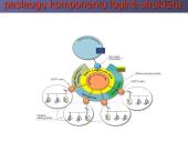 Saugus valstybės institucijų tinklas 10 puslapis