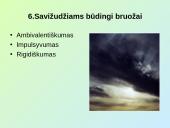 Savižudybės samprata 8 puslapis