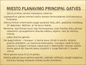 Senovės Aleksandrijos miestas 8 puslapis