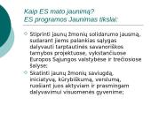 Šiuolaikinis jaunimas 11 puslapis