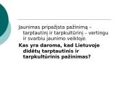 Šiuolaikinis jaunimas 9 puslapis