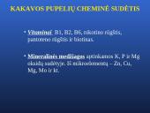Šokolado ir jo produktų gamybos technologijos pagrindai 16 puslapis