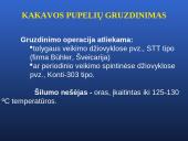 Šokolado ir jo produktų gamybos technologijos pagrindai 17 puslapis