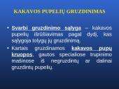 Šokolado ir jo produktų gamybos technologijos pagrindai 19 puslapis