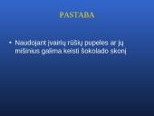 Šokolado ir jo produktų gamybos technologijos pagrindai 6 puslapis