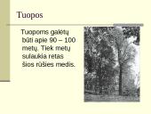 Toleikiškių dvaras 11 puslapis