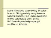 Toleikiškių dvaras 13 puslapis