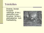 Toleikiškių dvaras 4 puslapis