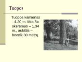Toleikiškių dvaras 10 puslapis